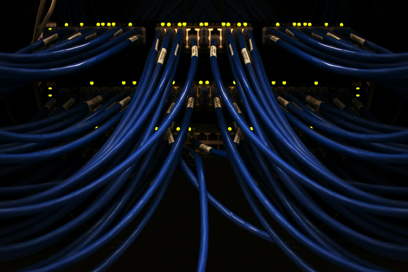 Blue wires connected together in a network switch